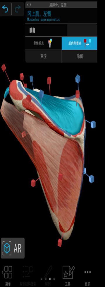 3D人体解剖app软件官方版图片2