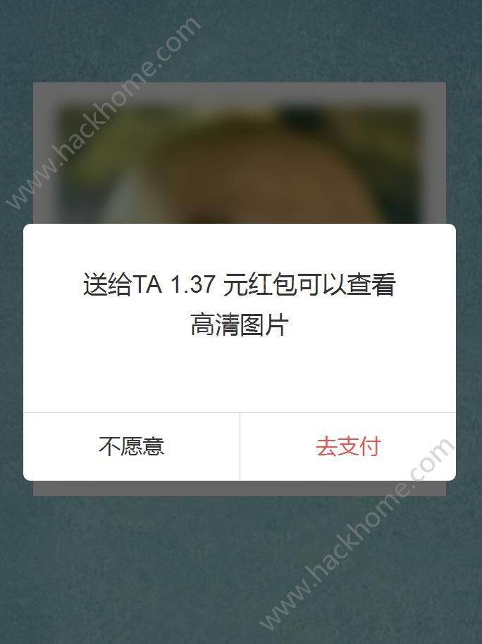 微信好友检测榜测试下载 v8.0.0