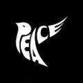 PEACE艺术藏品app官方下载 v1.0.7