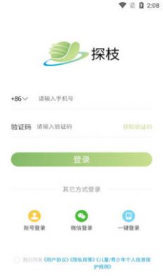 探枝社交app官方下载图片1