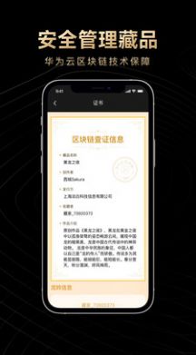 淘链数字藏品app官方下载图片1