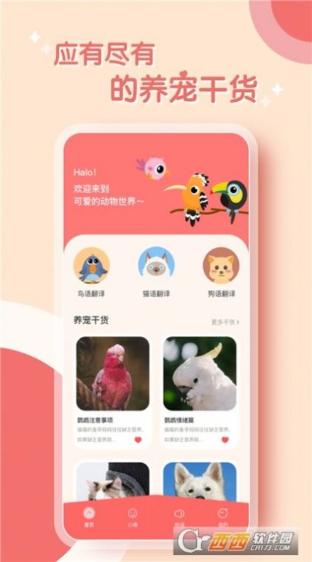 鹦鹉翻译器app官方下载 v1.0.0