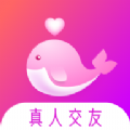 聊会app官方下载 v1.1.0