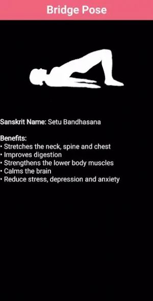 10 Daily Yoga Poses最新版下载v1.0